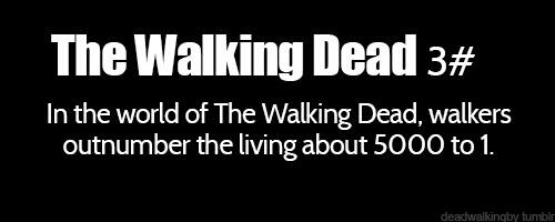 TWDthoughts's tweet image. #Fact2