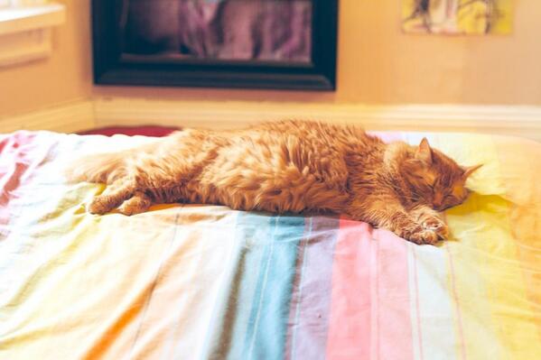 zzzzzzz