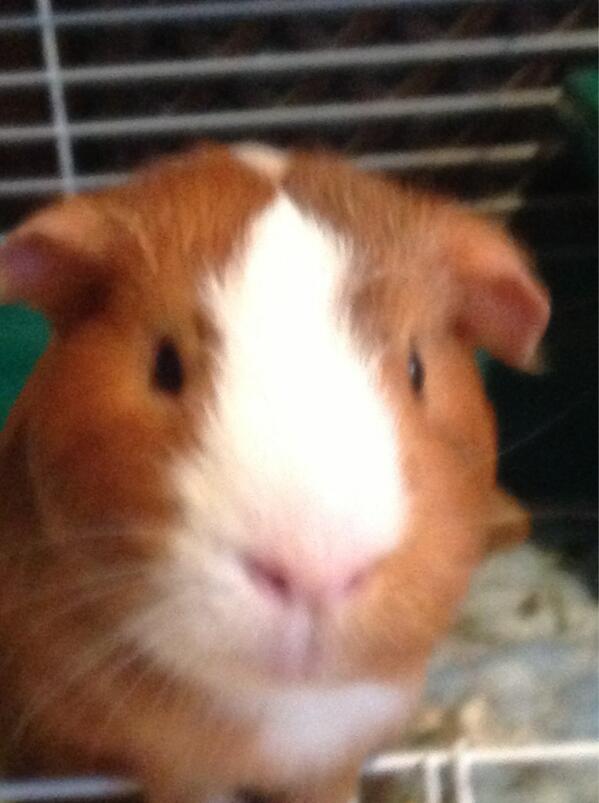 CharlieDear2's tweet image. I just wanted to post a picture! :D