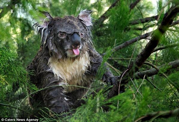 Enjoy the picture of todays weather!