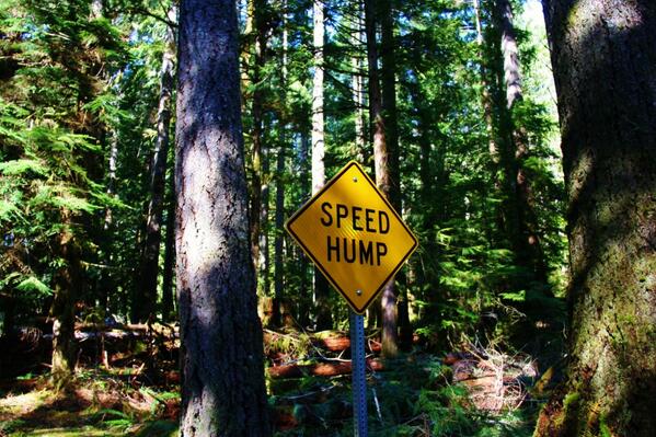 bisontattooguy's tweet image. A sign near the Staircase Ranger Station in the Olympic National Park.  #SpeedHump  #OlympicPeninsula