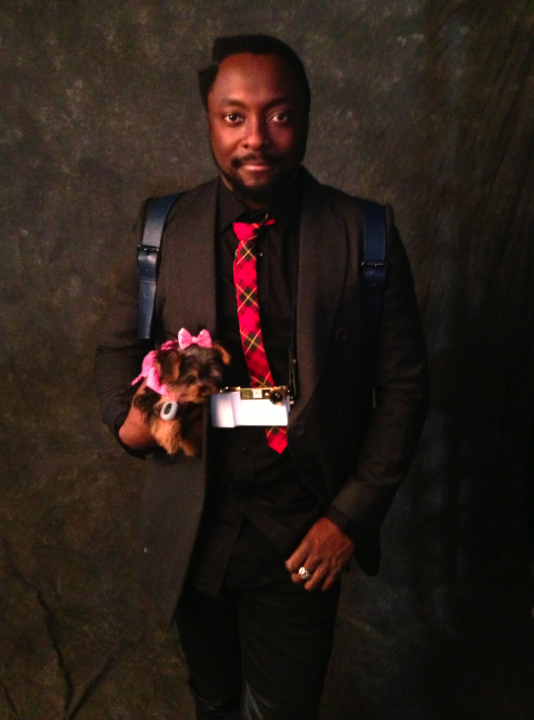 TheBritneyArmy's tweet photo. Happy Birthday @iamwill  Lets do another photo shoot sometime… WOOF! http://t.co/1NN8Nqph5m
