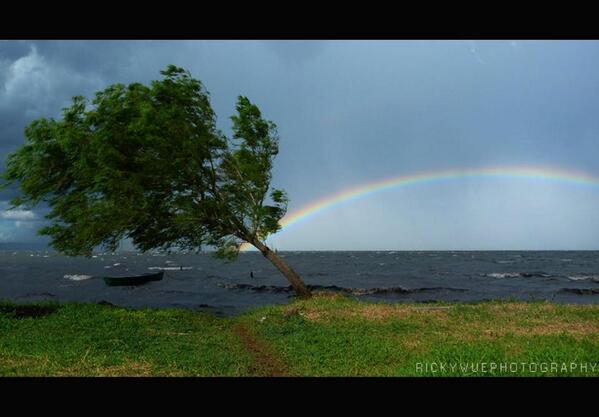 Ricardo Achucarro tweet media