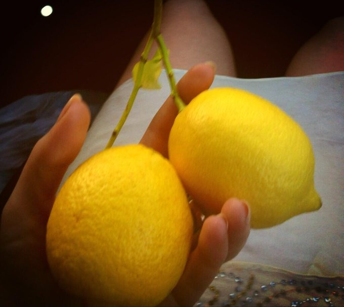 I just stole these lemons on the street in LA. They have food just growing on trees out here! http://t<a href="/tag/playground"class="tags"><span>#playground</span></a>