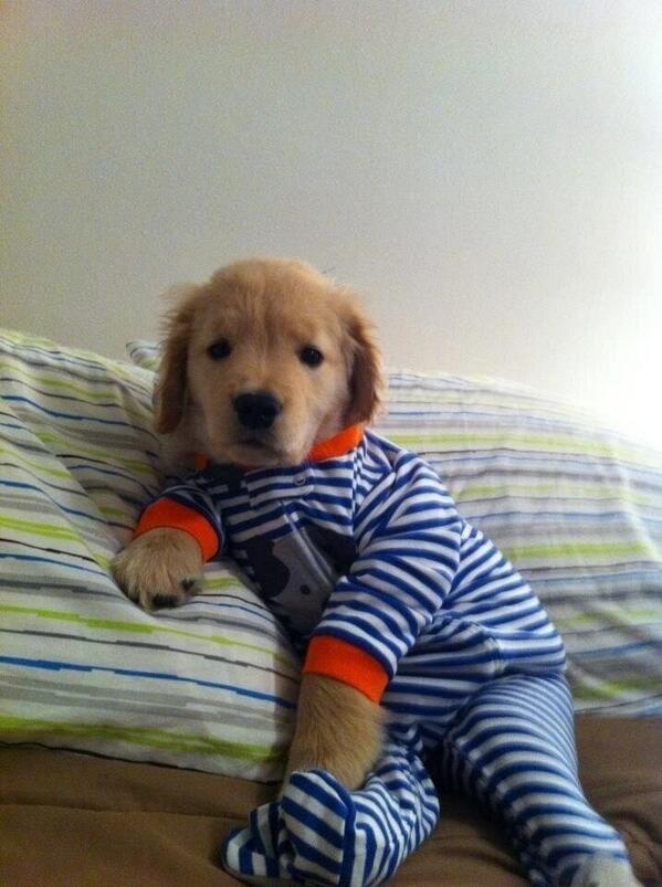 Im_Pely's tweet photo. How i feel after a hard working day !!!!!!! 
#BAWSE http://t.co/6KMOkITkgY