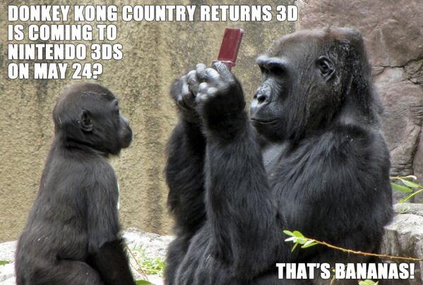 *Update* Donkey Kong Country Returns 3DS release date  BFcEqw3CcAA4zSF