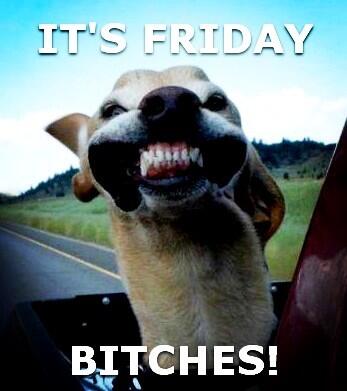 DiegoSpotorno's tweet photo. IT'S FRIDAY BITCHES!!! http://t.co/nwm3gjbtry