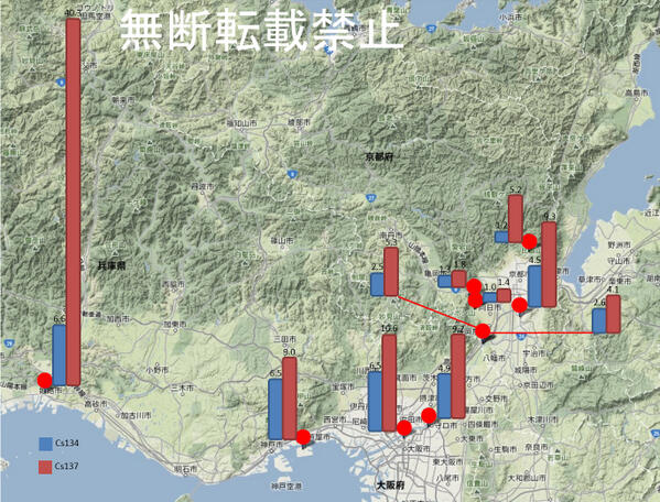 ただの黒猫 tweet media