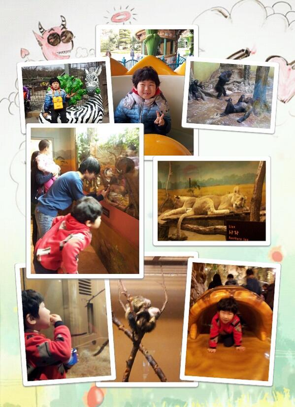 진서짱 tweet media