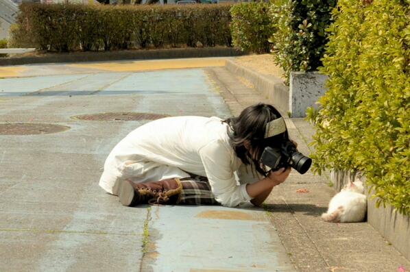 ぞん アオミドリ凸凹 カメラ女子可愛いみたいな世の中だけど 真剣に撮るとこうなるから私みたいなカメラ女子は可愛くない 同じ人rt 写真撮ってる人と繋がりたい Http T Co 3jxdj63ppk