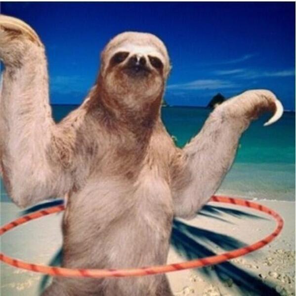 keepinitgolden's tweet image. @StewaaartHunter maybe we have twin telepathy! #commonoccurrence #twins #telepathic #slothcelebration