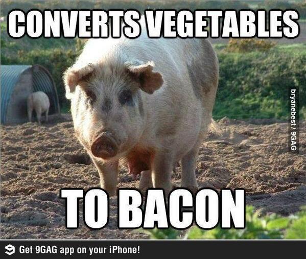 9GAG tweet picture