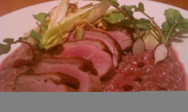 ChefTimProv's tweet photo. Winter meets spring! Pan roasted duck breast, Lingonberry risotto,Spring salad of Radish,Endive,and toasted almonds! http://t.co/5iNjtWZGjv