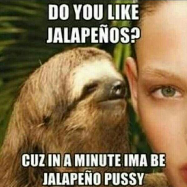 RatchetSloth's tweet photo. Do you like jalepenos? http://t.co/LGH35QPI3p