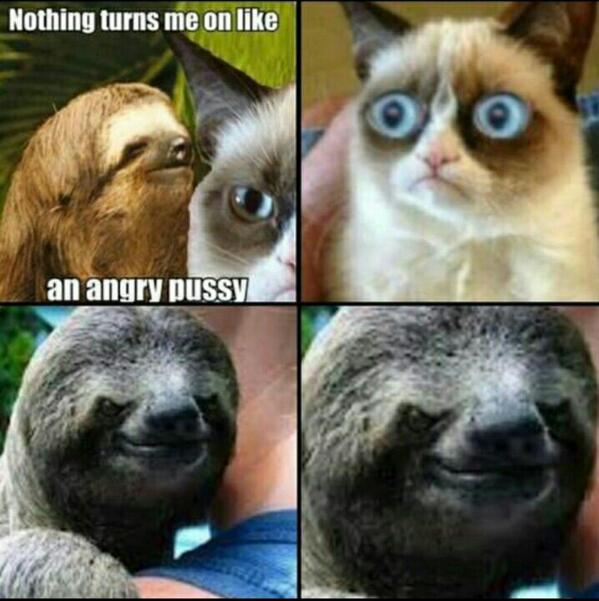 RatchetSloth's tweet photo. Nothing turns me on more.. http://t.co/6KfnrDTUe5