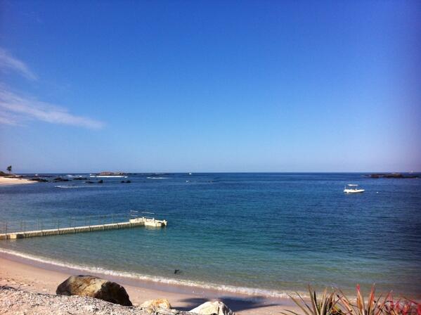 PuntaMita's tweet photo. Ahh! Hello!! http://t.co/XDSE33RbSp
