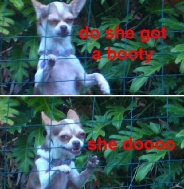 SirAtesll's tweet photo. Me rn http://t.co/OXffYvNYXV