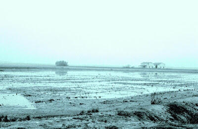 Oceanoentierra tweet media