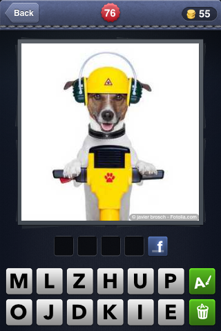 AustynColvard's tweet image. I want this dog, and I want him now!