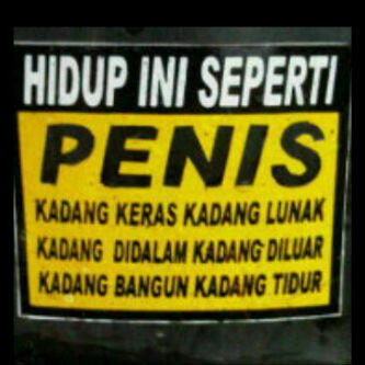 Kehidupan