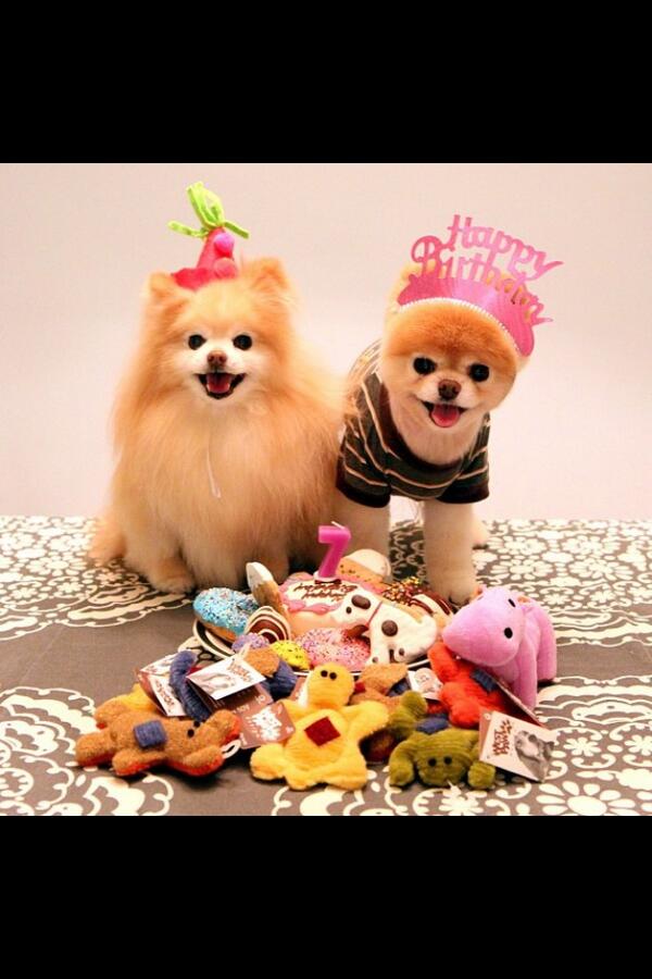 Bridget Firestone tweet media