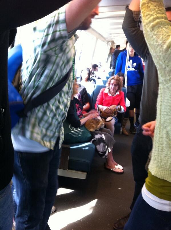 Rabbit on #BART #merica