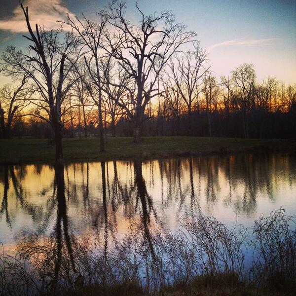 jessgoodwine's tweet image. This is my favorite picture from this weekend. #EastTexas #Sunset #PondReflection #Beautiful