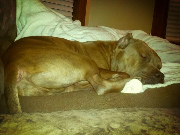 Out of the Pits tweet media