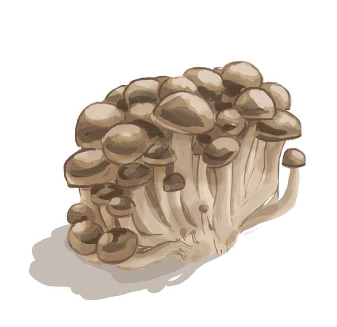 しめじのtwitterイラスト検索結果 古い順 しめじのtwitterイラスト検索結果 古い順