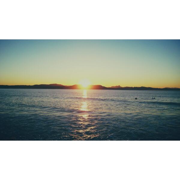 4Questions's tweet image. Getting excited for the launch of our #fourquestions_freeforall contest this coming Tuesday!