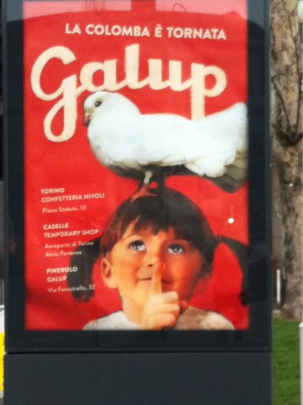 Galup tweet media