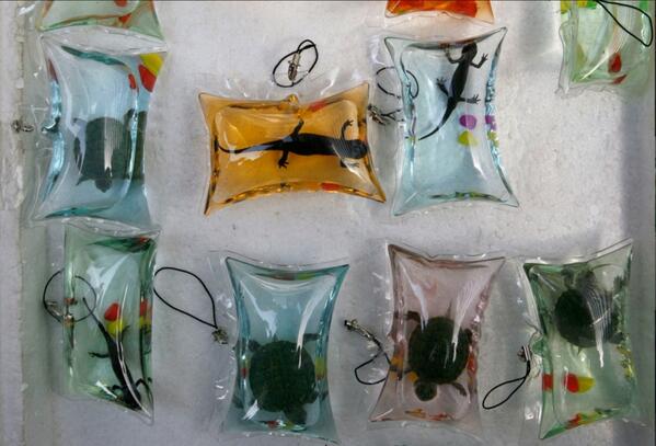 Composición Imperialismo Convocar jorge krasovsky on Twitter: "Llaveros de tortugas, peces y salamandras vivas en bolsa sellada, Mueren lentamente. Crueldad irracional no creen? http://t.co/ZKXN1OWbYJ" / Twitter Composición Imperialismo Convocar jorge krasovsky on Twitter: "Llaveros de tortugas, peces y salamandras vivas en bolsa sellada, Mueren lentamente. Crueldad irracional no creen? http://t.co/ZKXN1OWbYJ" / Twitter
