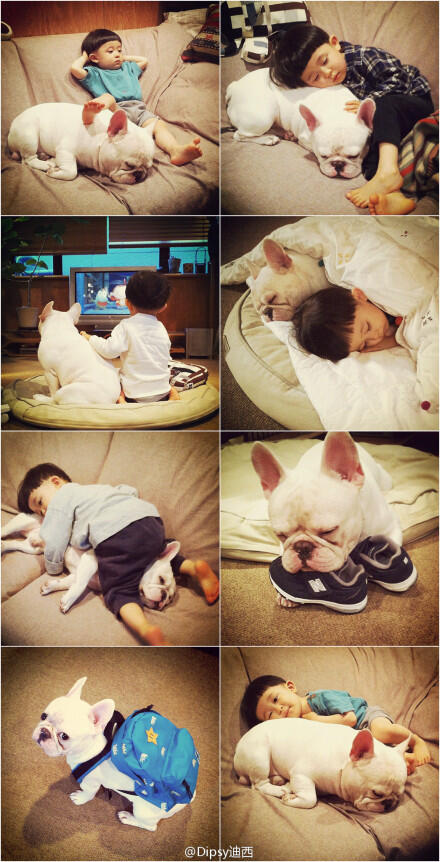 Keycci's tweet photo. 萌化了惆怅的心~good boy with his good friend~ http://t.co/rJeYcO10vi