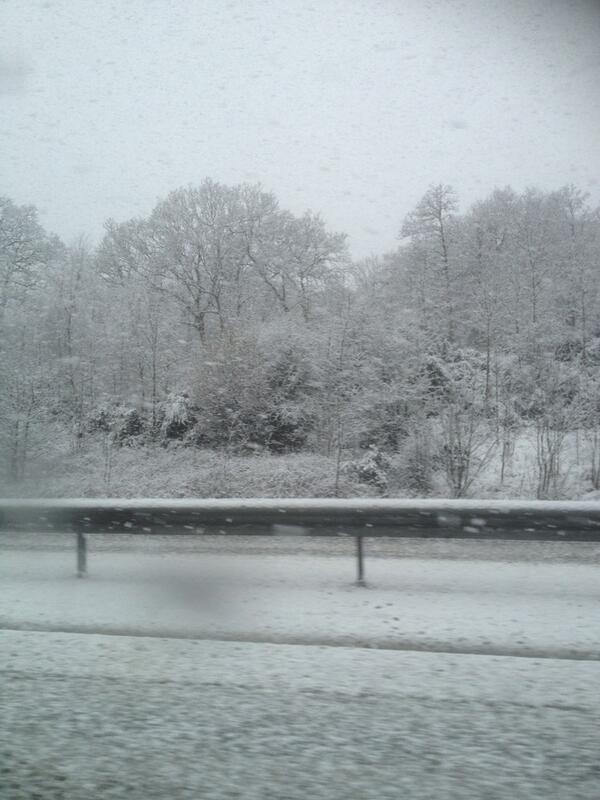 Pro Corda CMF (@procordacmf) on Twitter photo 