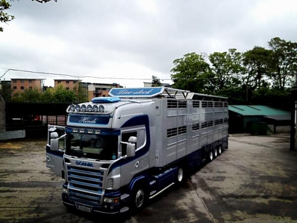 Birds eye view #hindexports