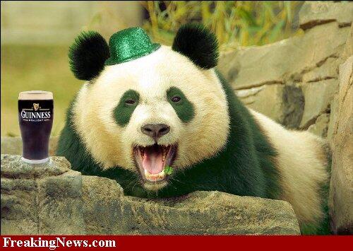 AveragePanda_'s tweet photo. KISS ME... I'm irish! #stpattyspanda #partiedwith3139 http://t.co/gSkr06OW7L