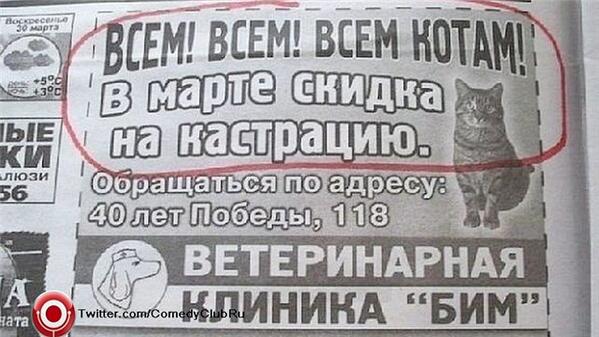 ComedyClubRu's tweet photo. Коты, внимание! #МаразмыиИдиотизмы http://t.co/MUE53pgiwS