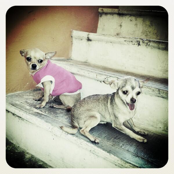 MakyDiva's tweet photo. #Tita:Q mami @LupitaAlcocer vea qn es la encueratriz d la ksa.He aquí la razón x la cual todavía no sacan tu cuenta. http://t.co/km9KuG4rRU