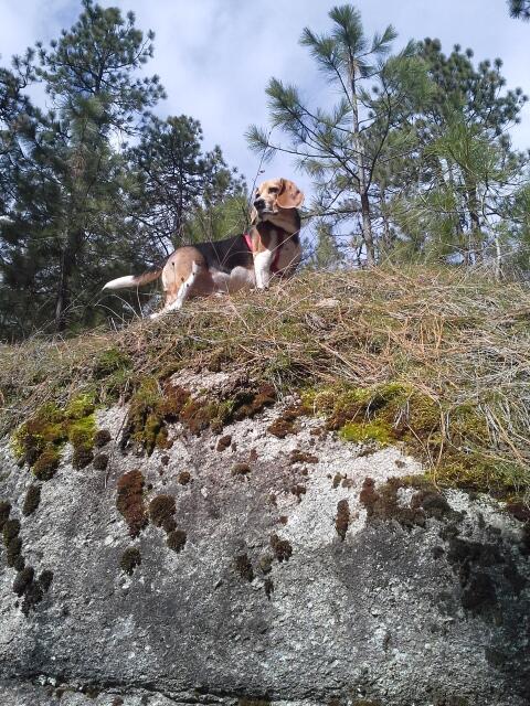 ShilohsShow's tweet photo. Went on a hike today http://t.co/ketK5BemN6