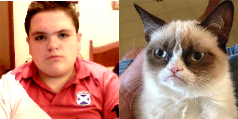 Campanas Falmec - Campanas modernas - Campanas de cocina