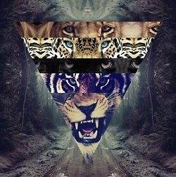 LaSpektator's tweet photo. http://t.co/DgUltllbDt