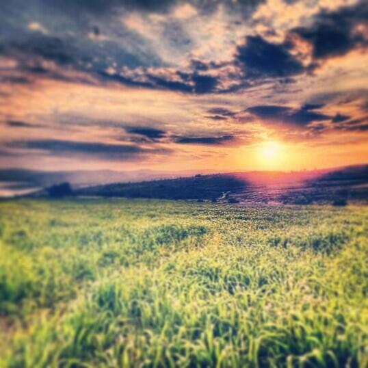 IsraelActivism's tweet photo. #israel landscape awe-inspiring! http://t.co/UVyIGTBant