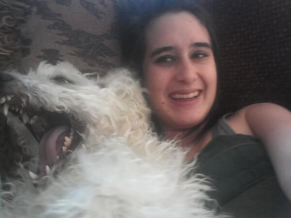carlyjade41's tweet photo. This is what happens when I wake my dog up!!! He just looks so excited :D cutie :-) :-) http://t.co/hD47gW867a