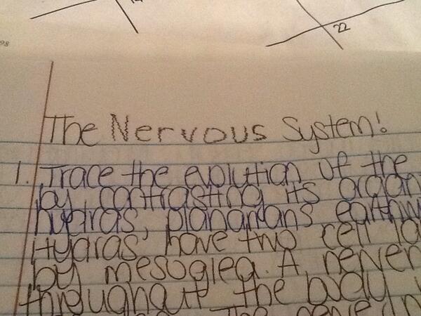 CoriiiAllison's tweet image. #IBHumor