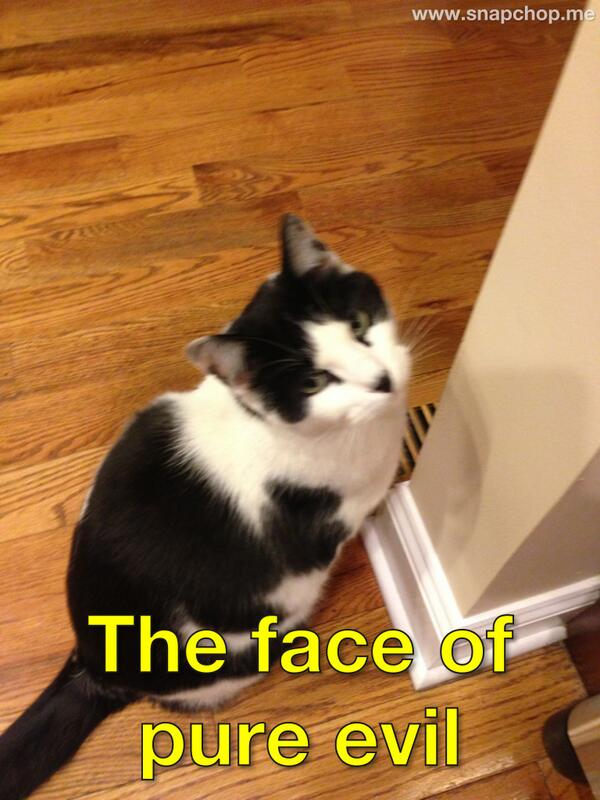 #snapchop  snapchop.me