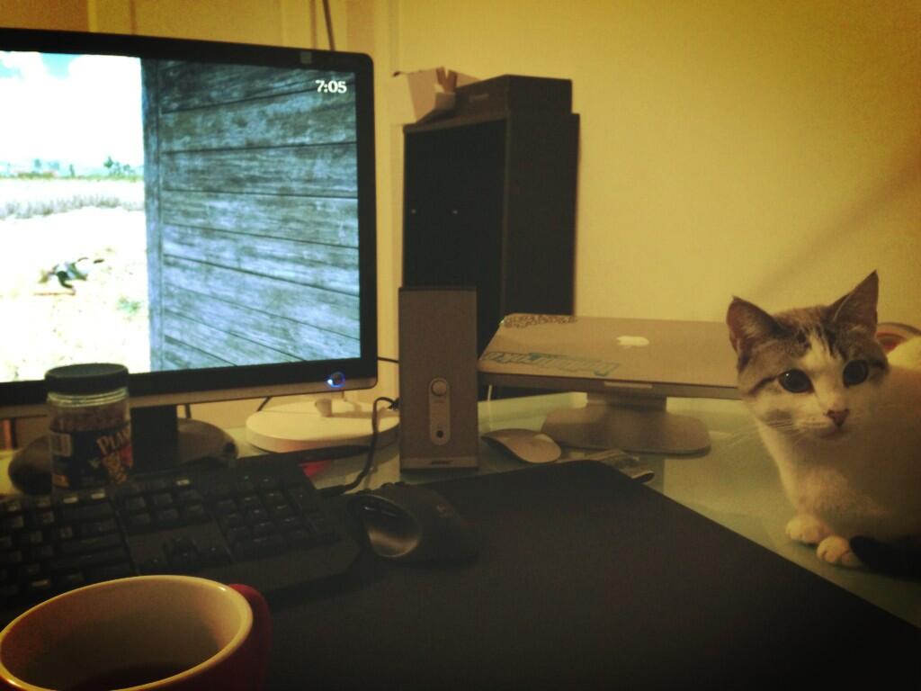 Embedded image permalink