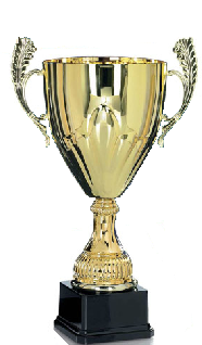 LigaPacifico's tweet photo. Este es el trofeo que se entregará al campeón de la Liga Pacífico 2013 http://t.co/bLorPTWU4A