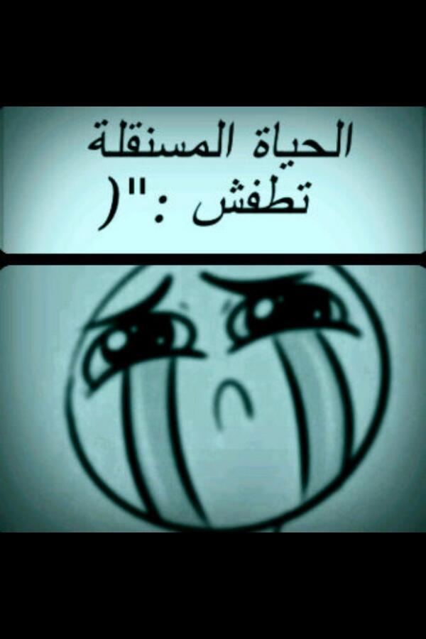 37Ghdo tweet picture
