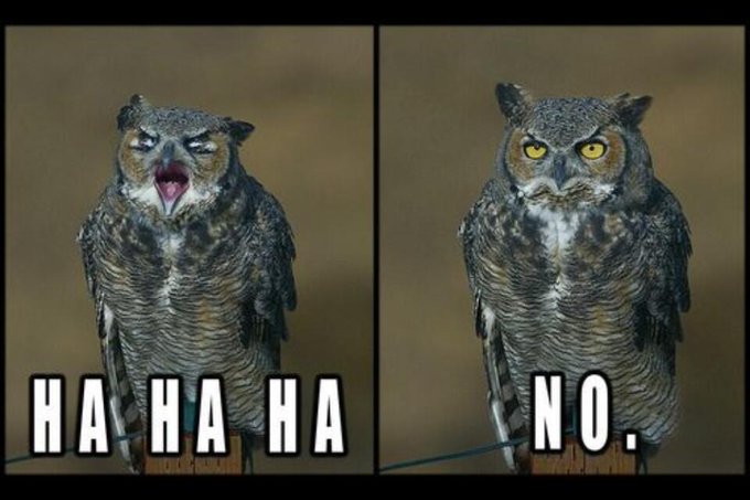 Watch Tom Howes's leaked NSFW photo on TwXstars