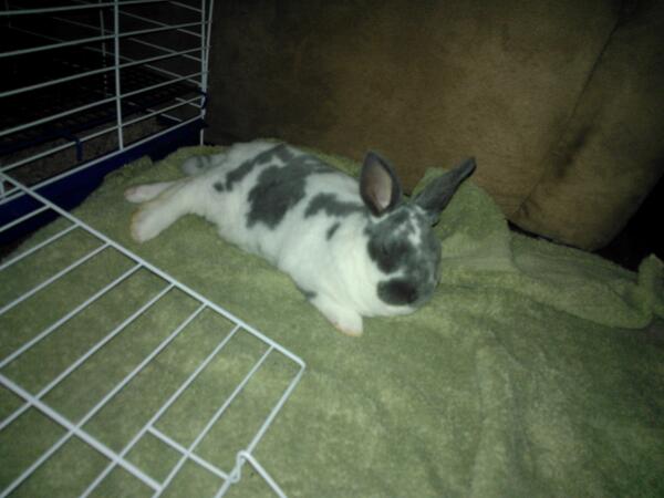 Her name is nimbus